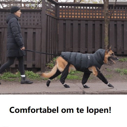 Durable Dog Boots for All Weather Protection – Waterproof Dog Shoes for Snow, Hiking, and Walking