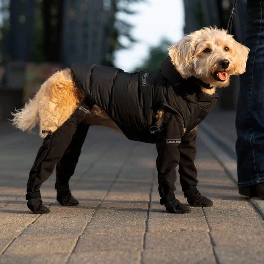 Durable Dog Boots for All Weather Protection – Waterproof Dog Shoes for Snow, Hiking, and Walking
