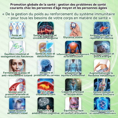 GLORENDA® | Moringa, Berbérine & NAD+ | Patch transdermique 10-en-1 à micro-aiguilles | Soutien du métabolisme