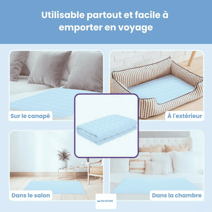 Tapis Auto-Rafraîchissant pour Chien