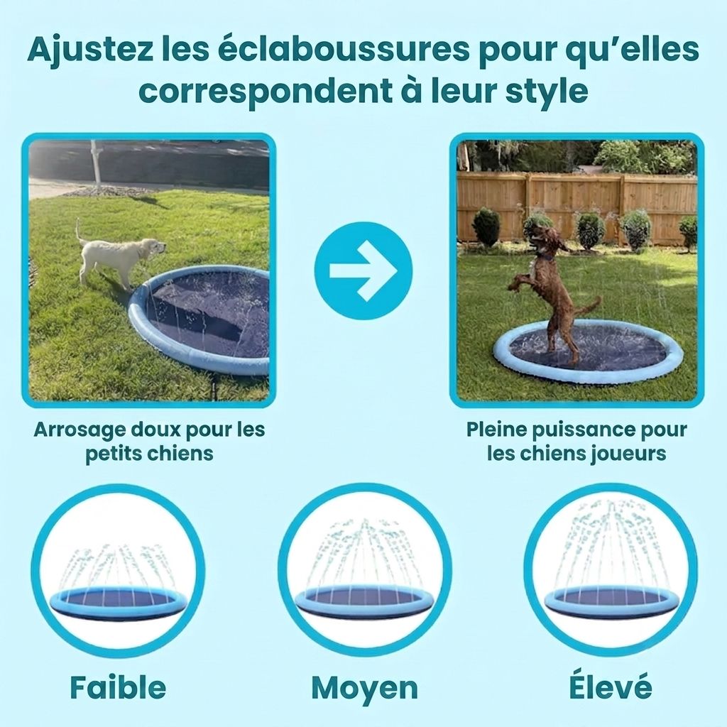 L'Oasis Fraîcheur™ - Le Paradis des toutous
