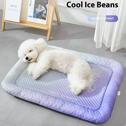 🐾Coussin rafraîchissant 3D pour chiens et chats 💤❄️
