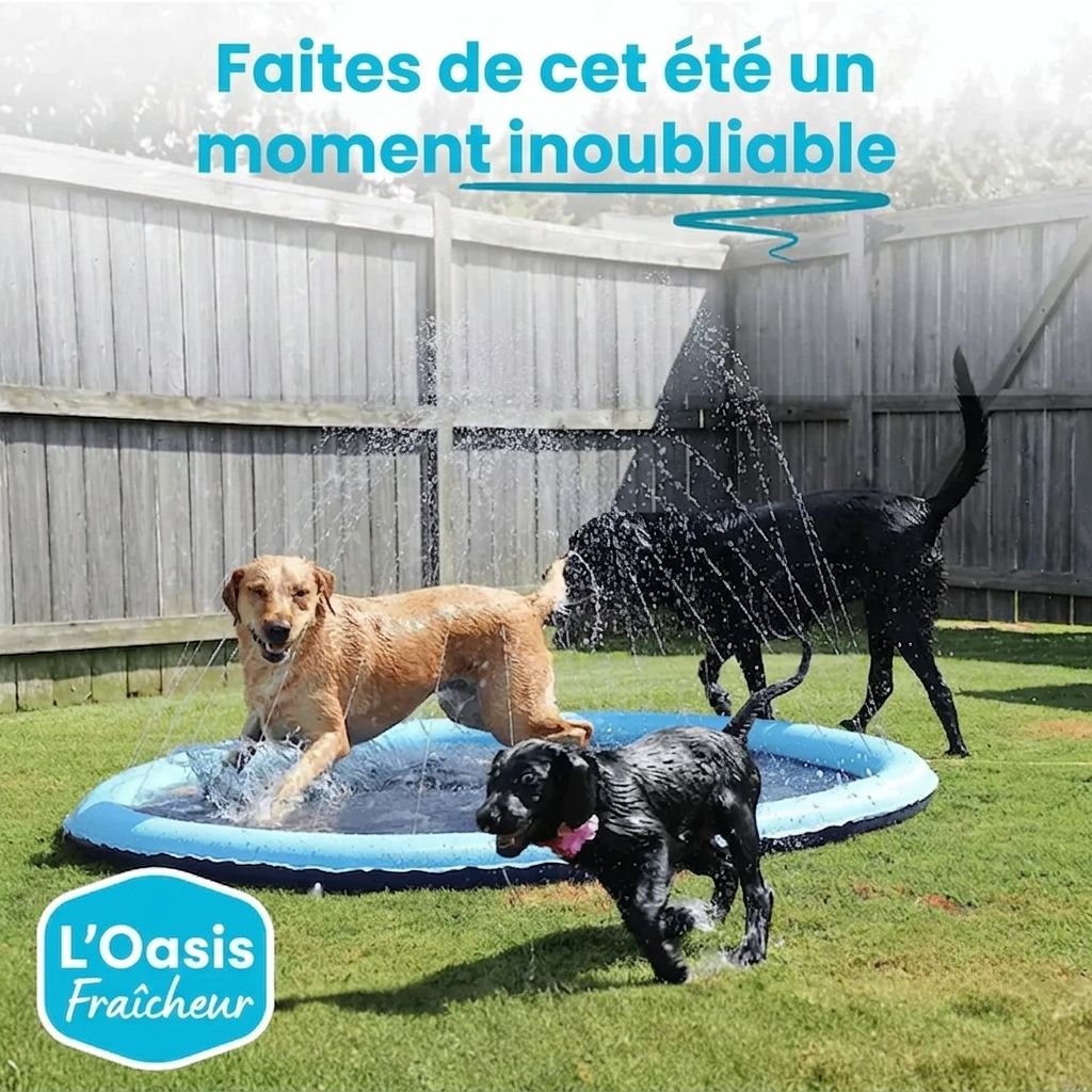 L'Oasis Fraîcheur™ - Le Paradis des toutous