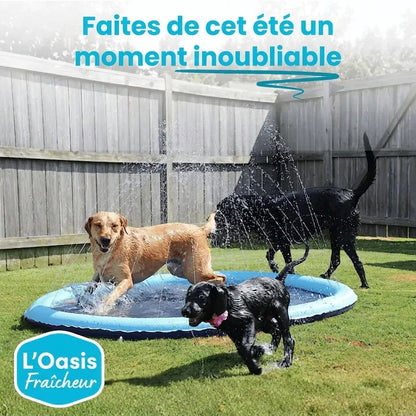 L'Oasis Fraîcheur™ - Le Paradis des toutous