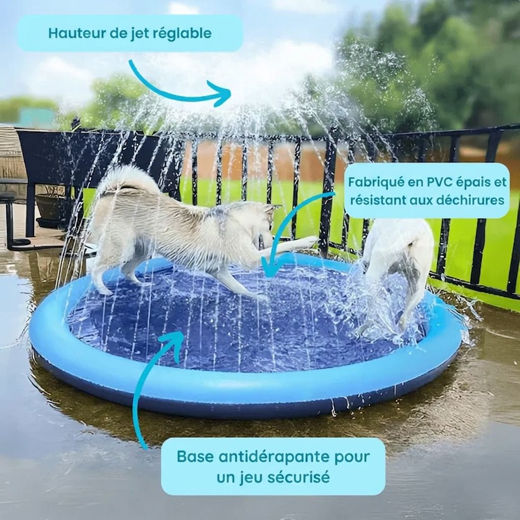 L'Oasis Fraîcheur™ - Le Paradis des toutous