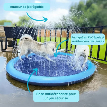 L'Oasis Fraîcheur™ - Le Paradis des toutous