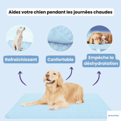 Tapis Auto-Rafraîchissant pour Chien