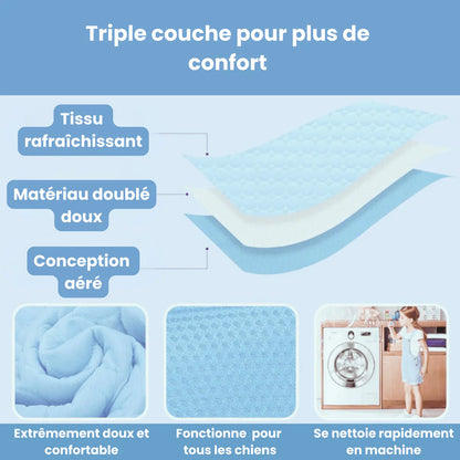 Tapis Auto-Rafraîchissant pour Chien