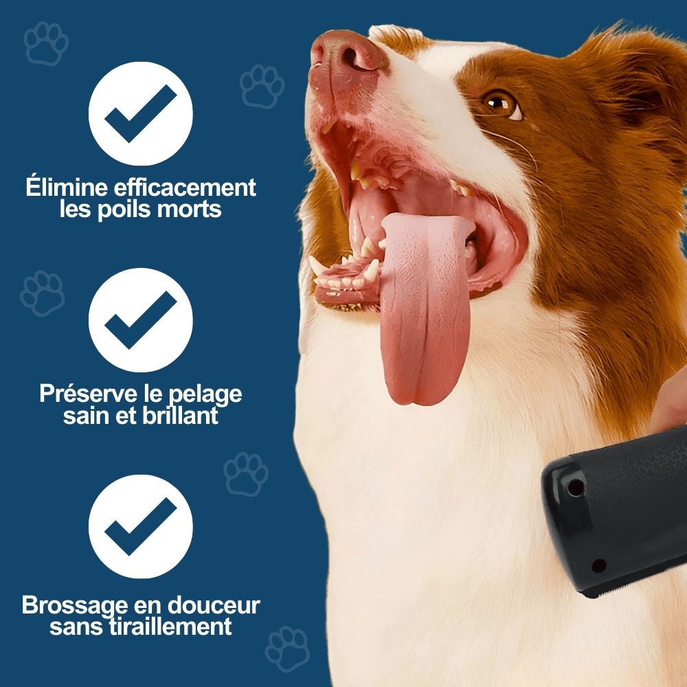 MagicBrush - La Brosse Miracle du Pelage