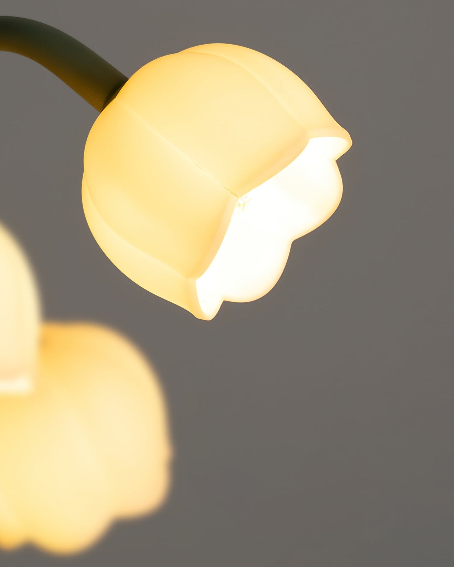 FloraLuxe – Refined Orchid Design Interior Light