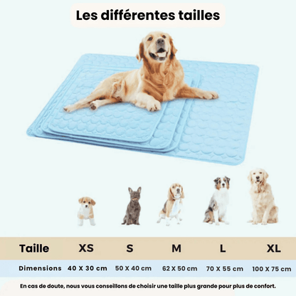 Tapis Auto-Rafraîchissant pour Chien