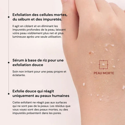 RiceGlow™ Duo Exfoliant Coréen au Riz | Peau Lisse & Éclatante