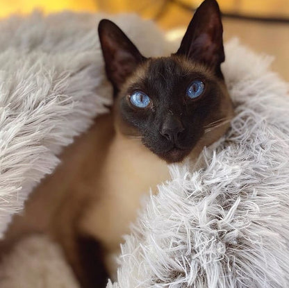 Hooded Plush Pet Bed | Cozy Cave-Style Dog & Cat Bed | Anti-Slip Bottom & Raised Rim Design