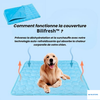 Tapis Auto-Rafraîchissant pour Chien