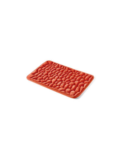 CloudPebble™ Tapis de Bain Galet à Mémoire de Forme