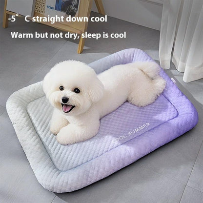 🐾Coussin rafraîchissant 3D pour chiens et chats 💤❄️