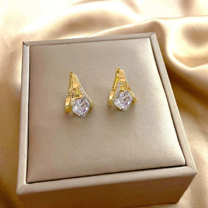 Histone Lymphatic MagneTherapy Germanium Earrings
